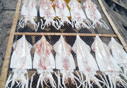 Mực một nắng và mực hai nắng